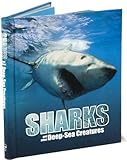 Great Big Book of Sharks and Other Deep Sea Creatures