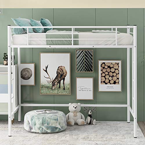 Twin Loft Bed Frame with 2 Ladders, High Metal Loft Bed for Kids, 220