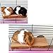 Tfwadmx Parrot Perch for Cage, Bird Stand Platform Natural Wood Playground Cage Accessories for Small Anminals Rat Hamster Gerbil Rat Mouse Lovebird Finches Conure Budgie, 2 Packthumb 4