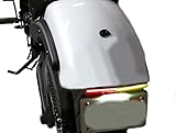 Bikelitez Fender eliminator fits Kawasaki 650
