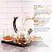 Royal Decanters Etched Globe Whiskey Decanter Gift Set- Glasses & Glass Beverage Drink Dispenser also for Brandy Tequila Bourbon Scotch Rum -Alcohol Related Gifts for Dad (850ML) (4 Glass Square)
