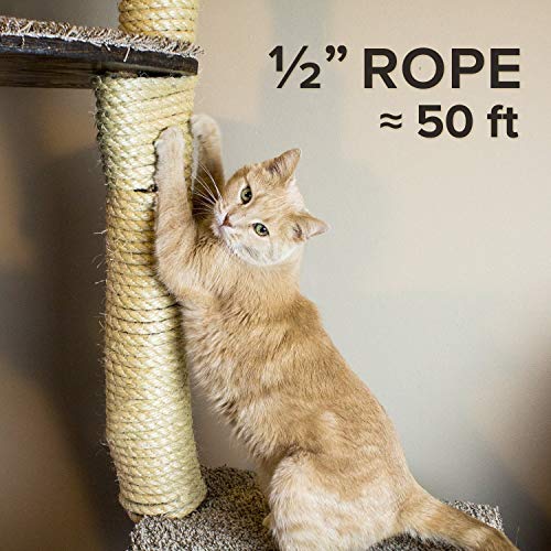 1 Twisted+Sisal+Rope+inch+Scratching