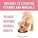 Purina Beneful Wet Dog Food, Chopped Blends With Salmon - (8) 10 oz. Tubs
