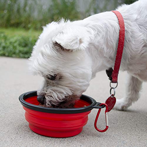 Emergency Zone Basic Dog Emergency Survival Kit Prepare Your Dog For 