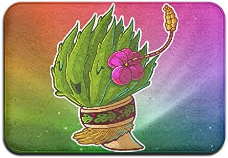 Aloha Vera Doormats Entrance Rug Floor Mats Doormats Floor Mat 15.7"23.6"