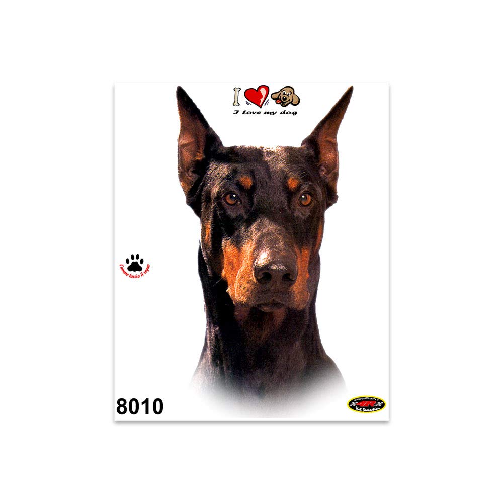 Sticker Dobermann Dog on Board Tab, 14 x 16 cm