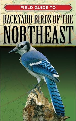 Field Guide To Backyard Birds Of The Northeast Backyard - 
