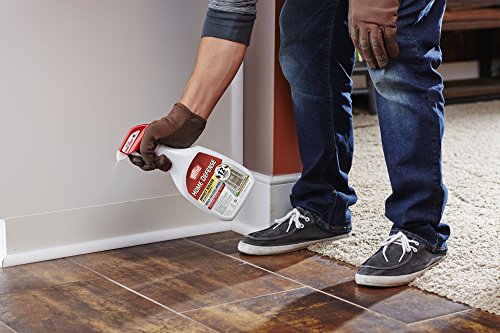 Ortho 0221310 Home Defense MAX Insect Killer for Indoor and Perimeter RTU Trigger - //coolthings.us