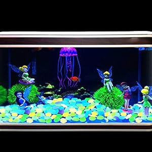 ZoomSky Pietra Luminosa 200 PCS Ciottoli Luminosi Resina Glowing Stone Illumina Il Tuo Giardino Acquario Affascinante… ZoomSky ZoomSky Pietra Luminosa 200 PCS Ciottoli Luminosi Resina Glowing Stone Illumina Il Tuo Giardino Acquario Affascinante…