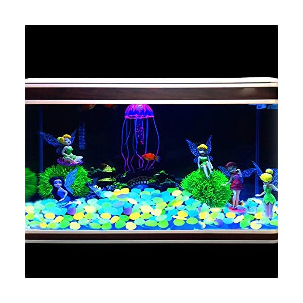 ZoomSky Pietra Luminosa 200 PCS Ciottoli Luminosi Resina Glowing Stone Illumina Il Tuo Giardino Acquario Affascinante… ZoomSky ZoomSky Pietra Luminosa 200 PCS Ciottoli Luminosi Resina Glowing Stone Illumina Il Tuo Giardino Acquario Affascinante…