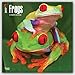 Frogs 2017 Calendar