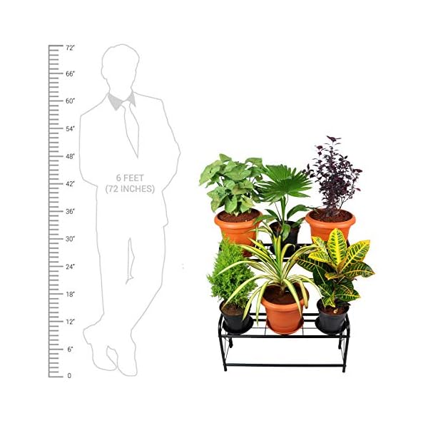 D&V ENGINEERING - Creative in innovation Metal 2 Tier Step Type Plant Stand, Black, 26 inch, 1 Piece - Image 6