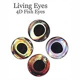 RAH 3-D Hard Epoxy Eyes (60 Pack) Fly Tying Lures Crafts Available in 4 Colors & 7 Sizes (Earth, 6 mm)