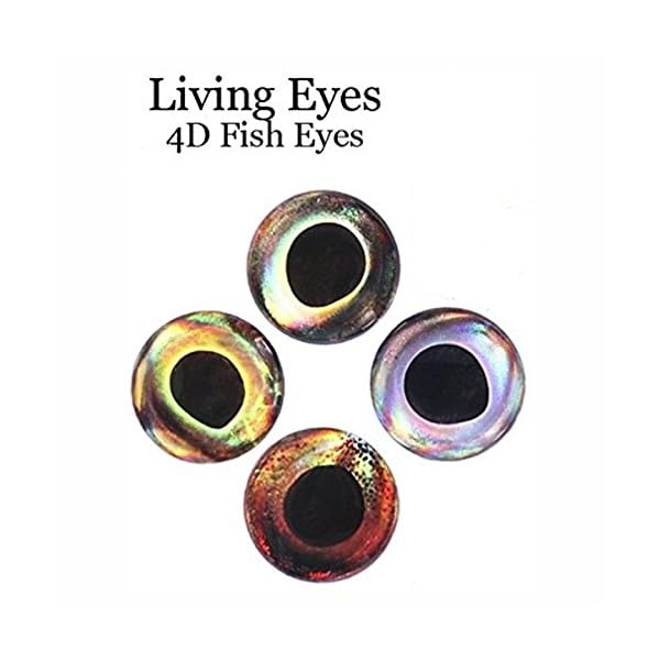 RAH-3D-Epoxy-Eyes-60-Pack-For-Fishing-Fly-Tying-Fishing-Lures-Crafts-Available-in-multiple-Colors-Sizes-Lifelike-3D-Fish-Eyes