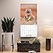 2020 Animal Memes Wall Calendar (LME3101020)