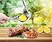 ONME Lemon Squeezer, Premium Quality Stainless Steel Lemon Lime Squeezer with High Strength, Manual Hand Citrus Press Lime Juicer with Heavy Duty Design, Anti-corrosive Dishwasher Safe – Silver