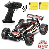 Blexy RC Racing Cars 2.4Ghz High Speed Radio Remote Control Car 1: 20 2WD Racing Toy Cars Electric Vehicle Fast Race Buggy Hobby Car Red 211