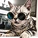 Cydnlive Cool Stylish and Funny Cute Pet Sunglasses Classic Retro Circular Metal Prince Sunglasses for Cat,Chihuahua or Small Dogs (Color May Vary)