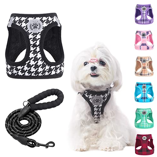 BEAUTYZOO Small Dog Harness Leash Set
