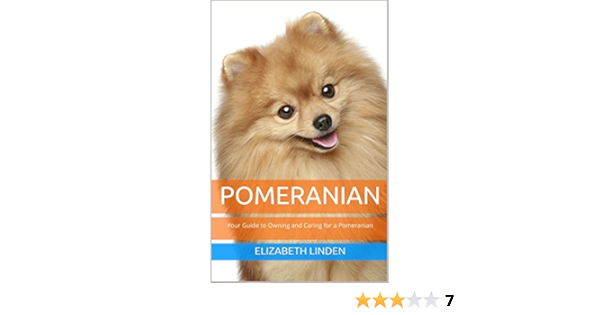 amazon dog sale price