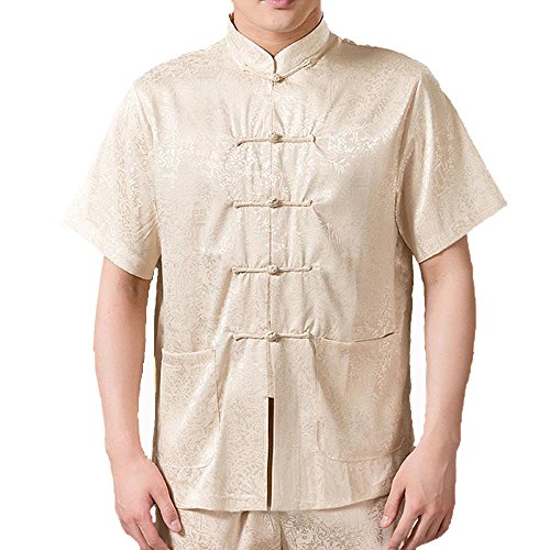 FangNer Men's Cotton Kung Fu Short Sleeve Tang Suit Chinese Clothing Shirt