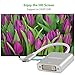 USBC to DVI Adapter, FEMORO USB 3.1 Type C(Thunderbolt 3 Compatible) to DVI Adapter for 2016/2017/2018 MacBook Pro Chromebook Pixel Yoga 910/920 Samsung S8/S9- Aluminum.