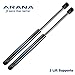 ARANA 4182 Front Hood Lift Support Gas Struts Shock for 2004-2012 Nissan Titan/ 2004 Nissan Pathfinder/ 2005-2013 Nissan Armada, Set of 2 Gas Spring