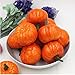 Ehdching Pack of 16 Artificial Realistic Fall Harvest Mini Pumpkins for Halloween Home Decoration (Pumpkin Color)