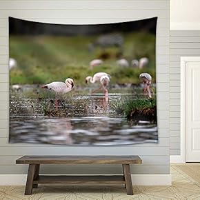 Flamingo in Lake Nakuru National Park, Africa - Fabric Wall Tapestry Home Decor - 51x60 inches