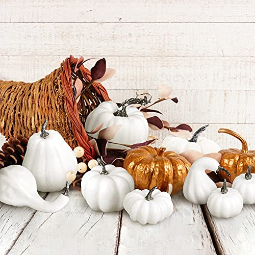 VGOODALL Artificial Pumpkins Decoration,11 Pcs Assorted Sizes White Fake Pumpkins Foam Pumpkins for Fall Autumn Decor Thanksgiving Halloween Decorations