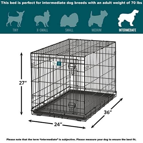 intermediate dog kennel