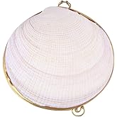 Shell Jewelry Box Shell Trinket Box Earring Necklace Ring Organizer Box for Girls Women Birthday Christamas