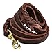 FAIRWIN Braided Leather Dog Training Leash 6 Foot - Dog Leather Leashes Heavy Duty for Large Medium Dogs (Brown, L:3/4