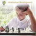 3-in-1 Chess Set - Travel Chess Set Magnetic Chess & Checkers & Backgammon Folding Chess Board Game, Portable Checkers with 3 Mesh Bags, Best Chess Games Gift for Kids and Adults 12.4 Inches