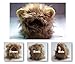 lcfun Lion Mane Costume for Cat Puppy - Pet Wig with Ears, Cat Clothes for Halloween Party