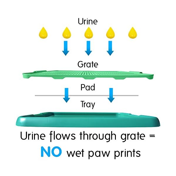 klean paws indoor potty