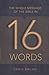 The Whole Message of the Bible in 16 Words by Chris Bruno