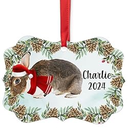 Brown Mini Rex Rabbit Christmas Ornament 2024