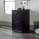 Sauder Via 2 Drawer File Cabinet