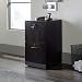 Sauder Via 2 Drawer File Cabinet