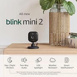 Blink Mini 2 — Home Security & Pet Camera(s) with