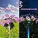 dapai Solar Garden Lights Outdoor, LED Decorative Solar Flowers Stake Lights for Garden Yard Patio Lawn Path Decoration, Color Changing, 2 Pack ( Pink & Purple)