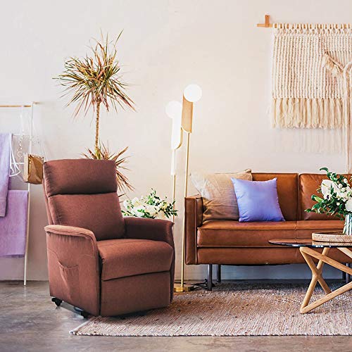 ERGOREAL Power Lift Chair Recliners for Elderly Heat&Massage Electric