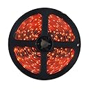 HitLights LED Light Strip - Red SMD 3528 - 300 LEDs, 16.4 Ft Roll - 12V DC - 82 Lumens / 1.5 Watts per Foot - Indoor IP-30 - Adhesive Backed for Easy Installation - LED Tape Light