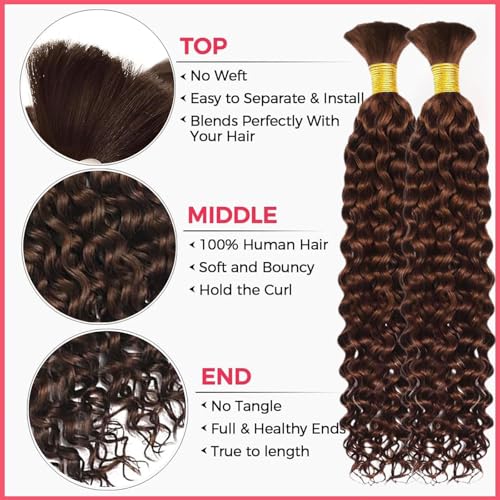 Human Braiding Hair 2 Bundle Water Wave Human Hair for Boho Braids Chocolate Brown Brazilian Virgin Curly Human Hair for Knotless Braids No Weft Boho Knotless Braids Bulk (22inch/100g)