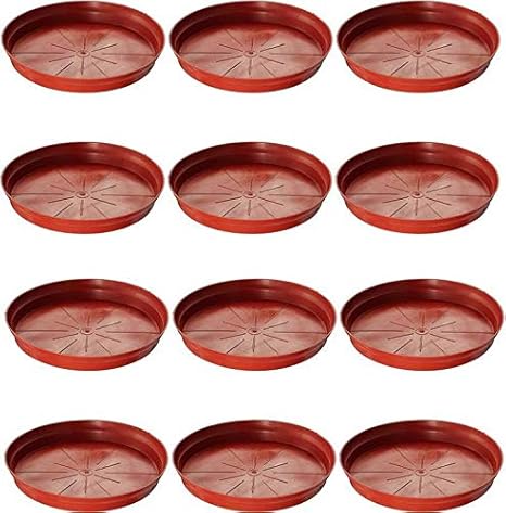 Antier Plate Planter Tray 6 inch Terracotta (Set of 12 Plant Container Set)
