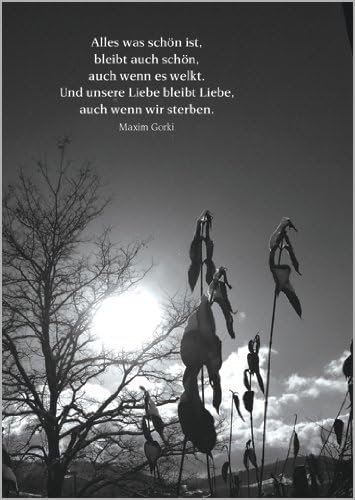 Helga Buhler 5x Bewegende Trauerkarte Mit Einem Maxim Gorki Zitat Als Beileidsspruch Beileidskarte Kondolenzkarte Trauer Beileid Grusskarte Im Todesfall Fur Das Trauerhaus Amazon De Kuche Haushalt
