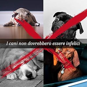 ziidoo Giochi Cane,12 Pezzi Giochi per Cani,Giocattoli di Corda Cane per Cani Grandi Giochi Cane Cucciolo ziidoo ziidoo Giochi Cane,12 Pezzi Giochi per Cani,Giocattoli di Corda Cane per Cani Grandi Giochi Cane Cucciolo