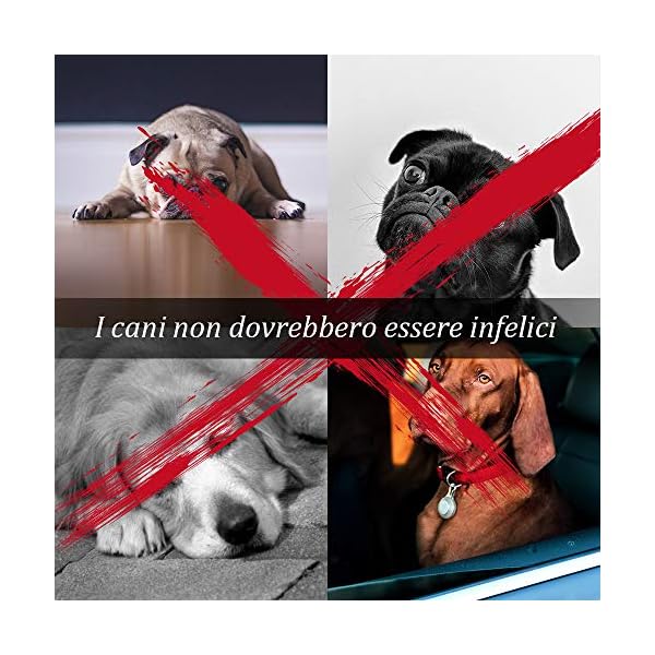 ziidoo Giochi Cane,12 Pezzi Giochi per Cani,Giocattoli di Corda Cane per Cani Grandi Giochi Cane Cucciolo ziidoo ziidoo Giochi Cane,12 Pezzi Giochi per Cani,Giocattoli di Corda Cane per Cani Grandi Giochi Cane Cucciolo