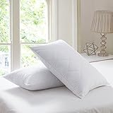 Set of 2 Goose Feather Pillows Queen Size - 600 Thread Count Cotton Cover,20